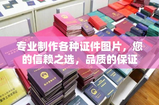 碑林专业制作各种证件图片，您的信赖之选，品质的保证