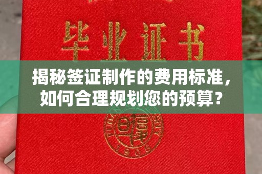 碑林揭秘签证制作的费用标准，如何合理规划您的预算？