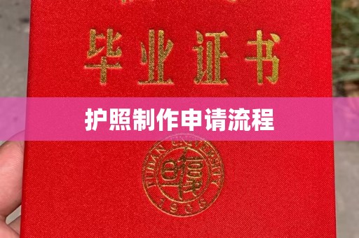碑林护照制作申请流程