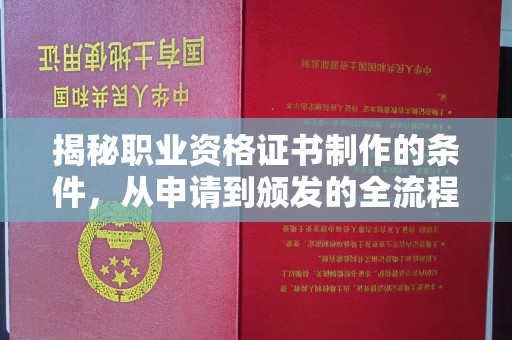 碑林揭秘职业资格证书制作的条件，从申请到颁发的全流程解析