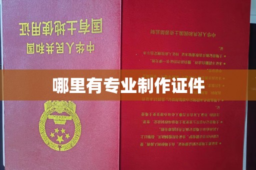 碑林哪里有专业制作证件