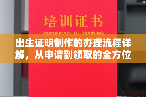 碑林出生证明制作的办理流程详解，从申请到领取的全方位指南